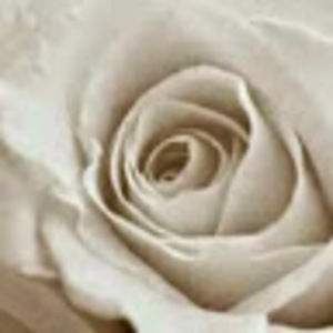 Meet your Posher, Cynthia